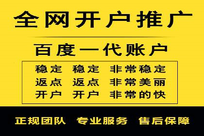 某品牌SEM推广策略的成效与启示